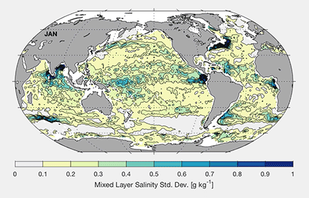 Mixed layer salinity std dev map