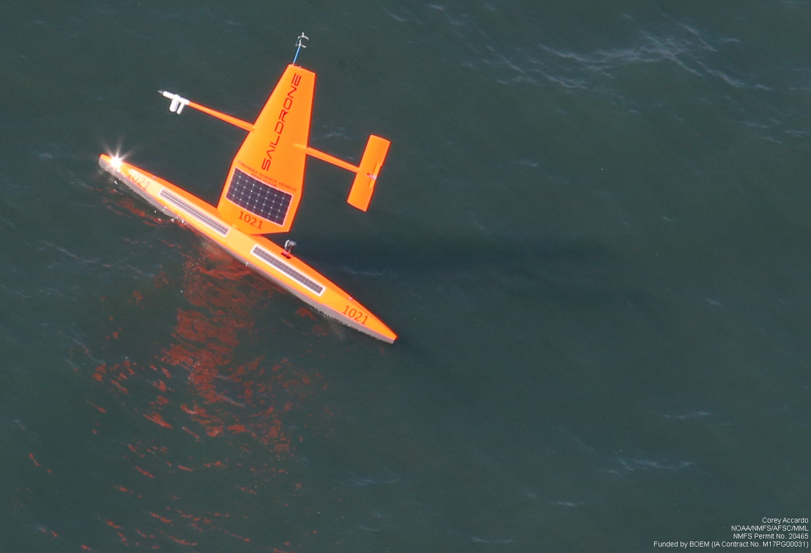 Aerial view of a sailing drone in the Chukchi Sea