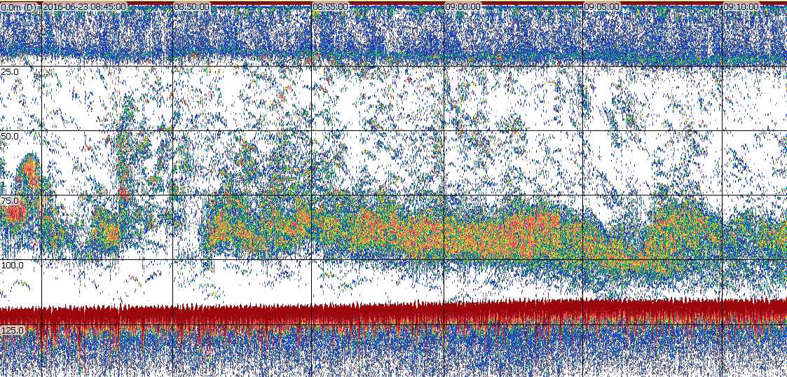 Echogram from Saildrone 23 June 2016