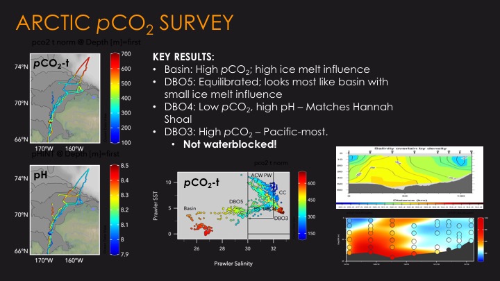 Arctic-DBO NCIS 2018 Key Results from the PC02 survey