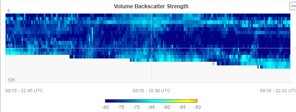 echosounder image