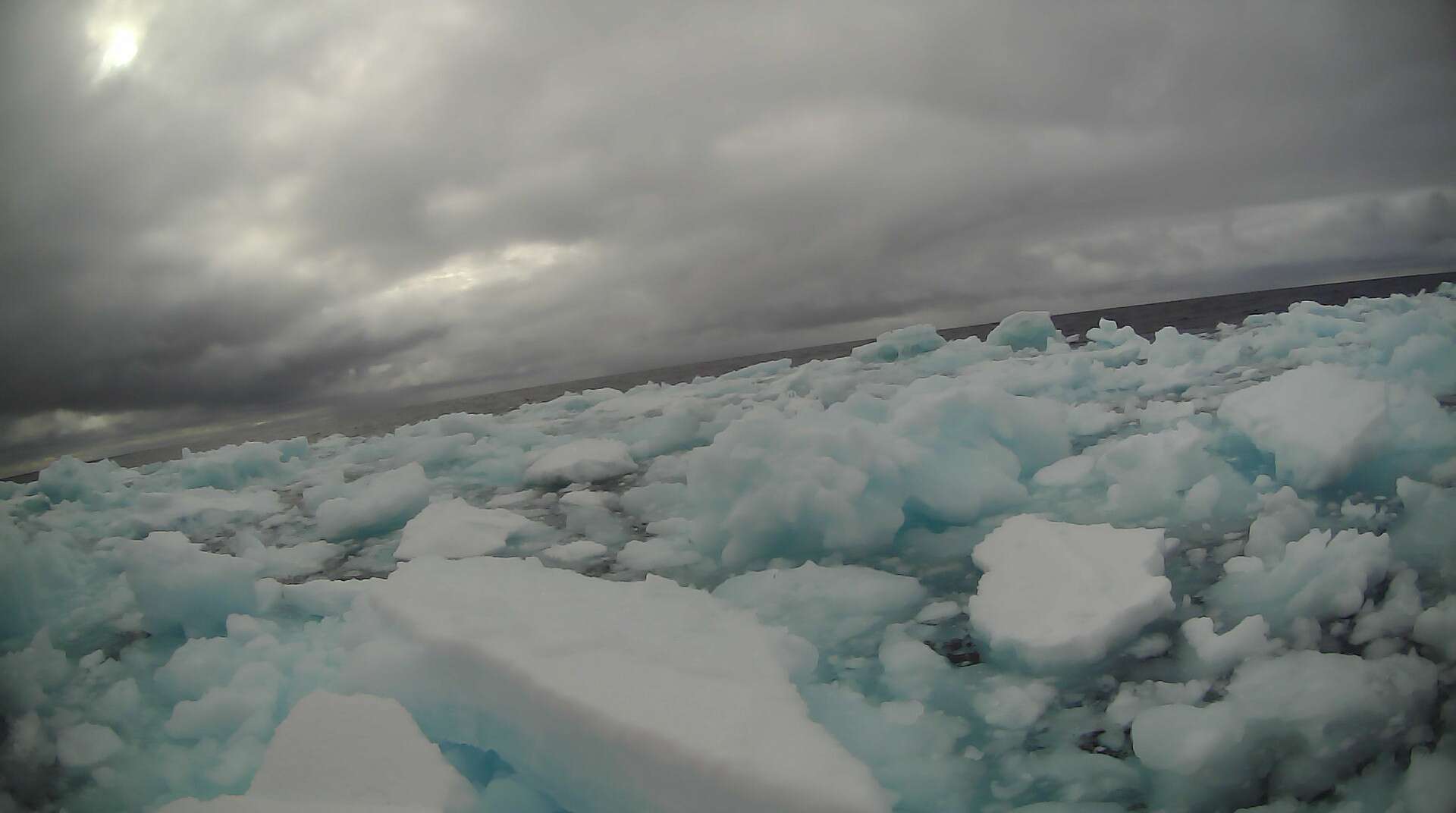 A saildrone view of Arctic ice during the 2019 NOAA Arctic missions