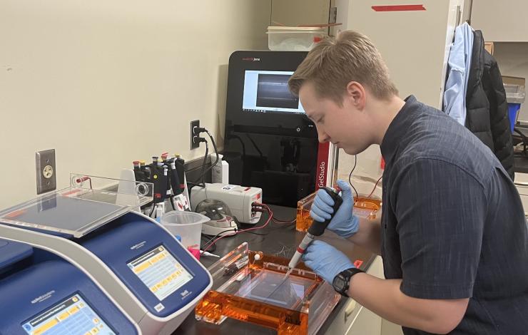 Han Weinrich setting up gel electrophoresis in lab