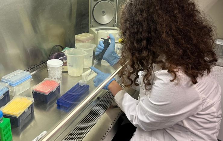 Chloe Rabinowitz pipetting at a biosafety cabinet