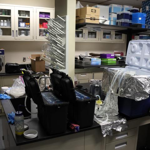 Two peristaltic pumps and a cooler on the lab bench set up for fitlering