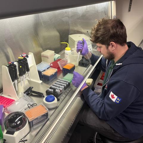 Nick Silverson aliquoting gDNA to PCR plate