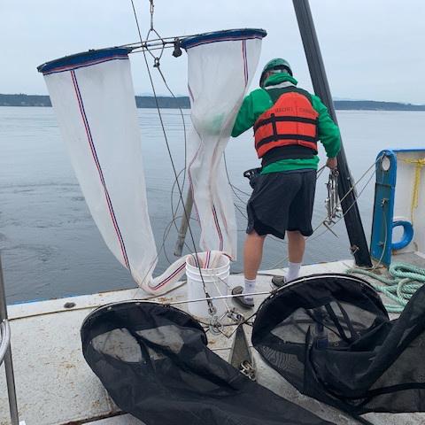 Zooplankton sampling nets