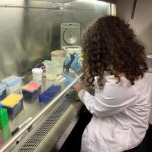 Chloe Rabinowitz pipetting at a biosafety cabinet