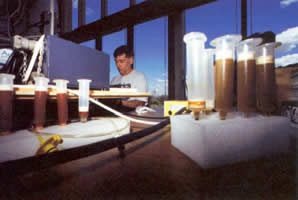 George Anderson filling bottles with sterilized seawater