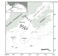 fig01sm.gif (8739 bytes)