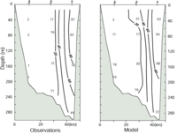 fig10sm.gif (6631 bytes)