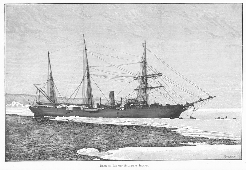 Bear, Greely Relief Expedition 1884