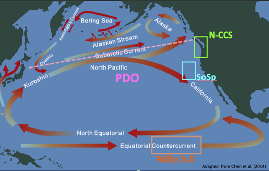 Map of the Pacific Ocean with arrows showing the different ocean currents as well as the formation of ENSO and PDO