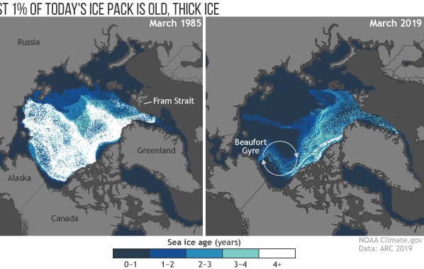 Arctic ice sale packs