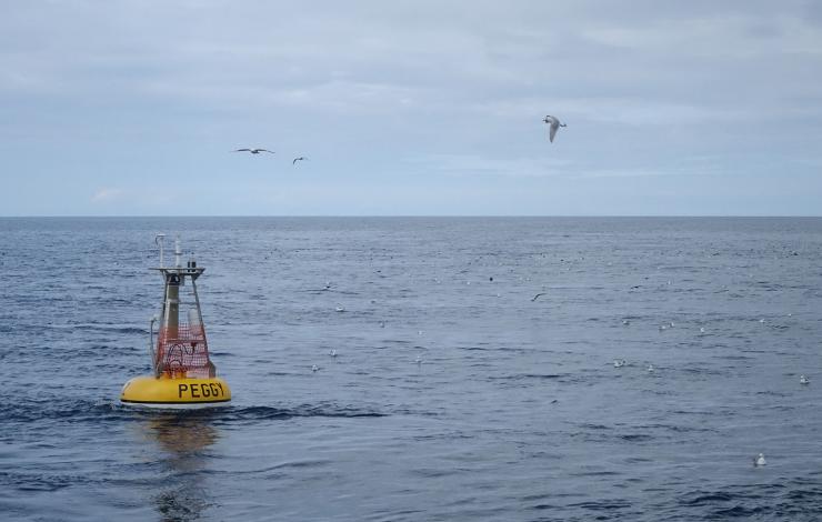 Yellow circular buoy with black words "Peggy" with a tower on top sitting in ocean with sea gulls flying above