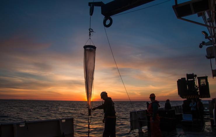 Deploying a vertical net during the 2016 West Coast Acidification Cruise on the NOAA Ship Ronald H. Brown. 