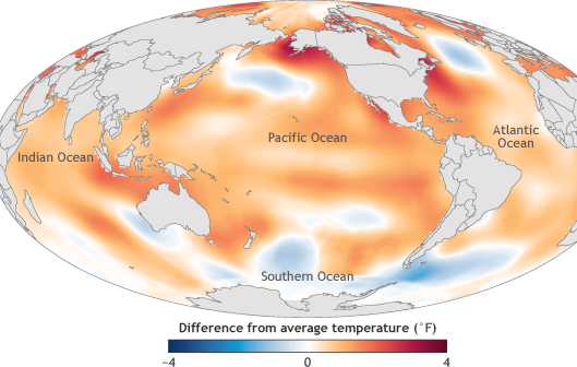 The image is of ocean surface temperature in 2016 compared to the 1981-2010 average. Despite the weakening 2015/16 El Niño event in 2016, the global average sea surface temperature in 2016 beat 2015 as the warmest year on record by a narrow margin. Image credit: NOAA Climate.gov map, adapted from Figure 3.1a in State of the Climate in 2016.