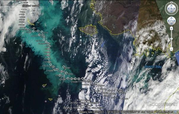 Satellite image of phytoplankton bloom