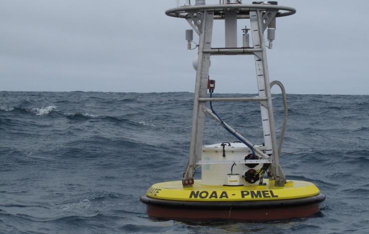photo of the Papa mooring deployed in the Gulf of Alaska