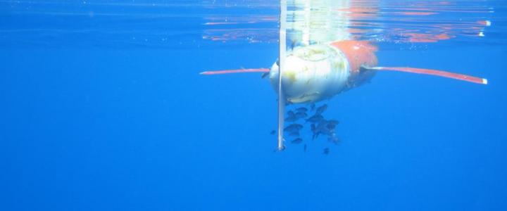 The Solomon Sea spray glider measuring the Pacific Western Boundary Currents