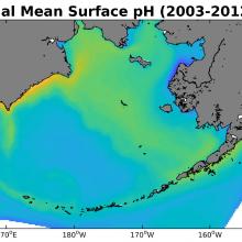 Modeled annual mean surface pH over the 2003-12 timeframe.