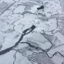 A mosaic of young sea ice captured during a flight campaign over the Chukchi Sea launching various atmospheric and oceanographic probes and floats.