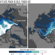 The proportion of old, thick ice in the Arctic's winter maximum ice pack has dropped from more than a third in the mid-1980s to barely just 1 percent today