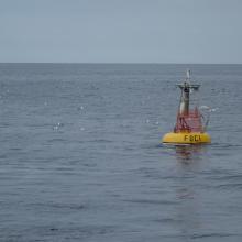 A mooring used by EcoFOCI in the Bering Sea to understand the determine the influence of the physical and biological environments on marine populations and the subsequent impact on fisheries