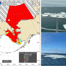 Map with red extent of sea ice covering part of the Bering Sea and the Arctic region. Images on the right show floating sea ice in the water. 