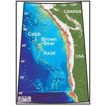 Bathymetric chart of Axial Seamount, located ~5000 ft below the ocean surface and ~250 mi west of Newport, Oregon. Axial Seamount hosts a variety of geophysical sensors that are part of the Ocean Observatory Initiative (OOI) Cabled Array.