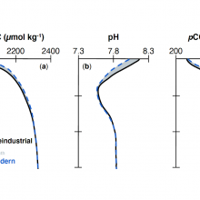 Three graphs showing blue, black and grey curved lines for Dissolved Inorganic Carbon, pH and pCO2 and how the line varies by depth