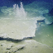 Underwater image of the seafloor with a grey carbonate shelf with methane bubbles rising above