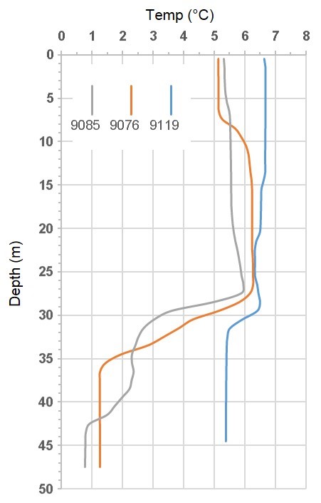 Graph of temperature profiles from ALAMO floats deployed in the Chukchi Sea in September 2016. 