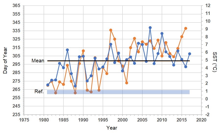 Time series graph of interpolated and observed SST and freeze onset date