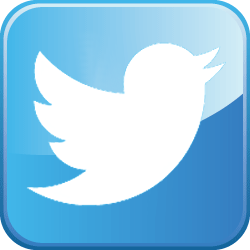 Twitter bird button.