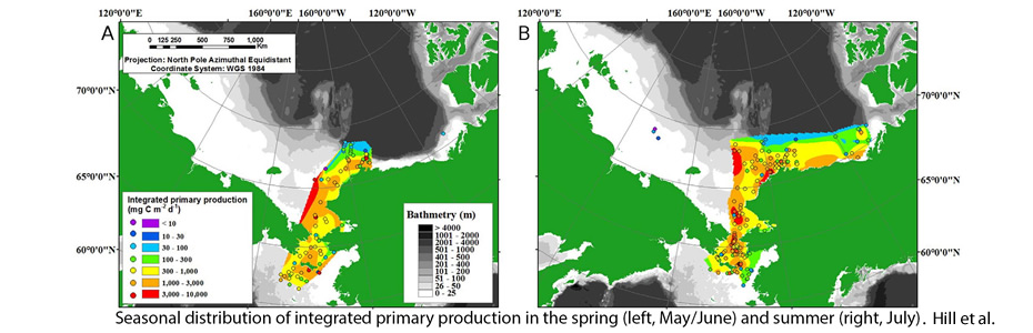 Seasonal distribution of integrated primary production