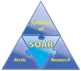 SOAR logo