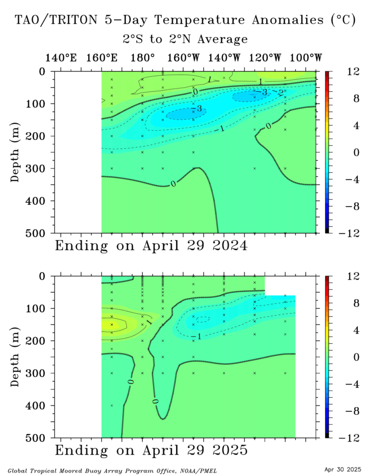 TAO_5Day_EQ_xz_Anom_Comp.gif