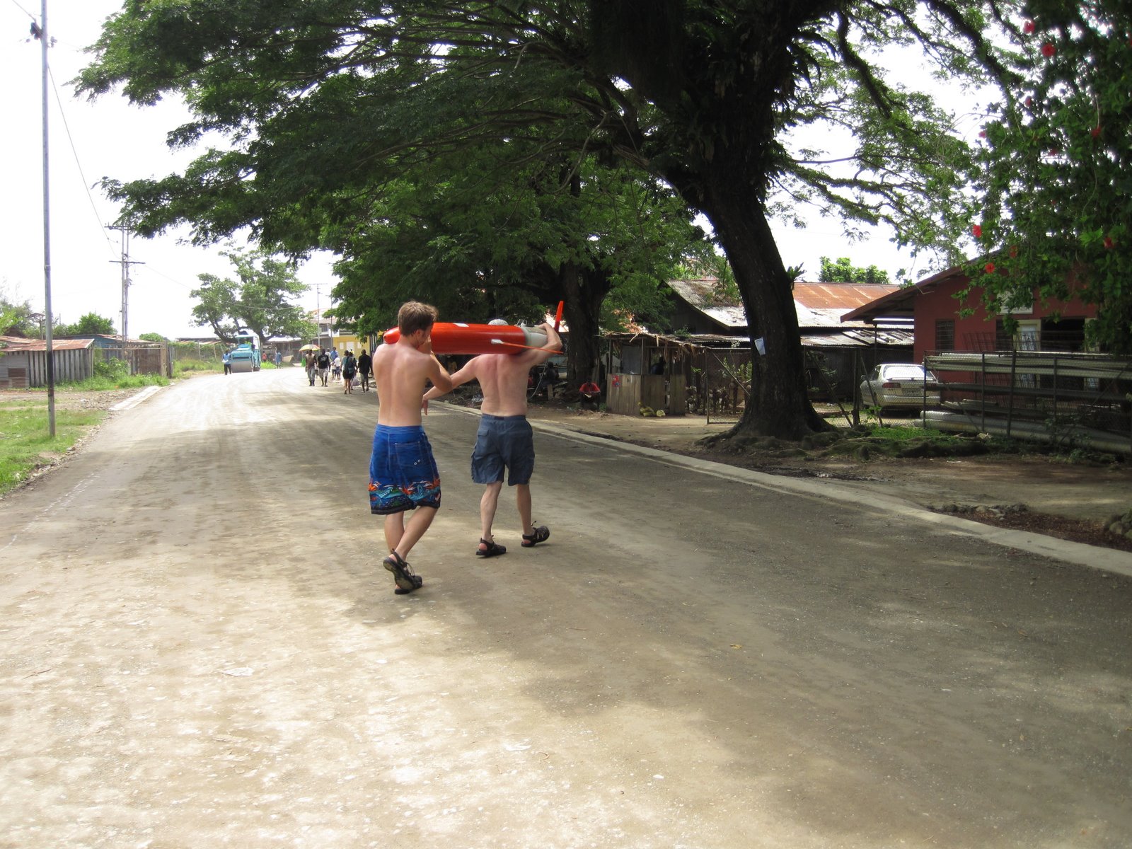 Two researchers carrying a glider across the main road in Gizo