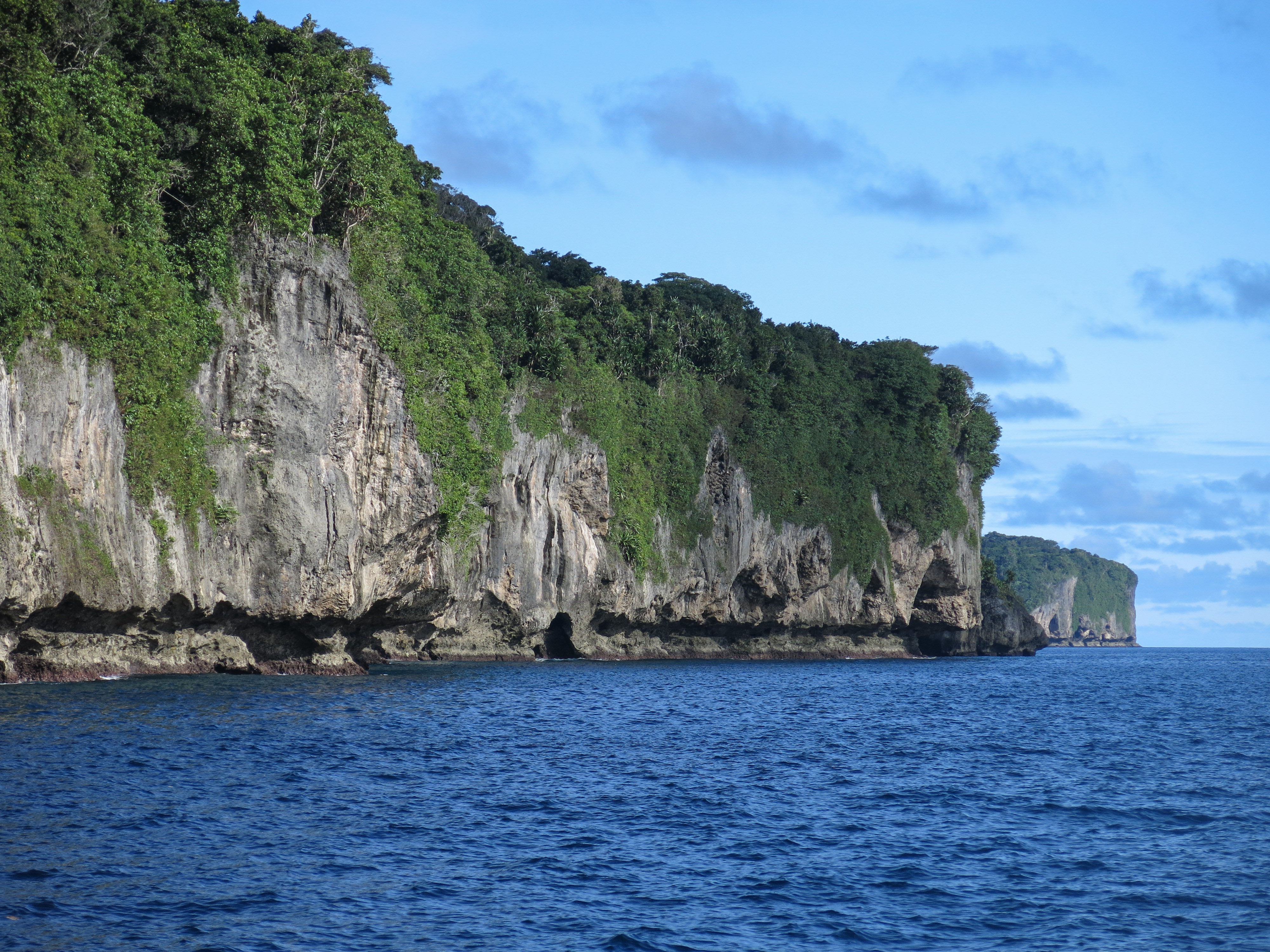 Lifted coral rock cliffs undercut by wave action