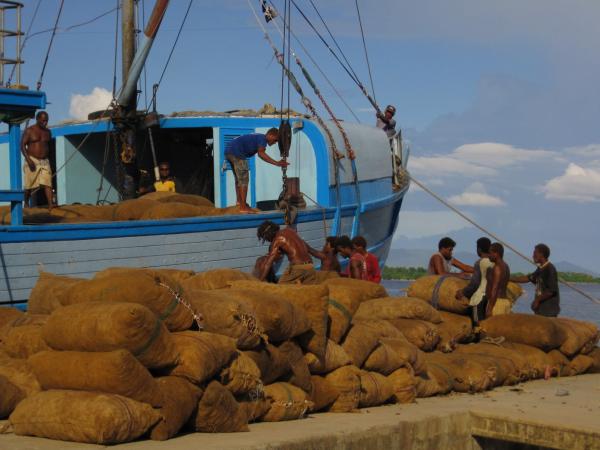 Loading copra (dried coconut) onto a boat