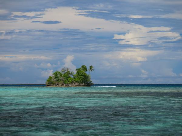 Raised coral island and reef