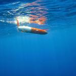 Glider underwater near Gizo, Solomon Islands