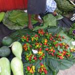 Vegetables for sale in the Gizo market